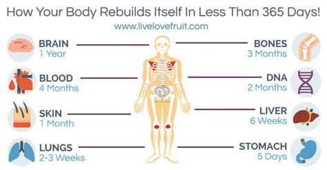 How Long Does it Take to Change Your Body After .